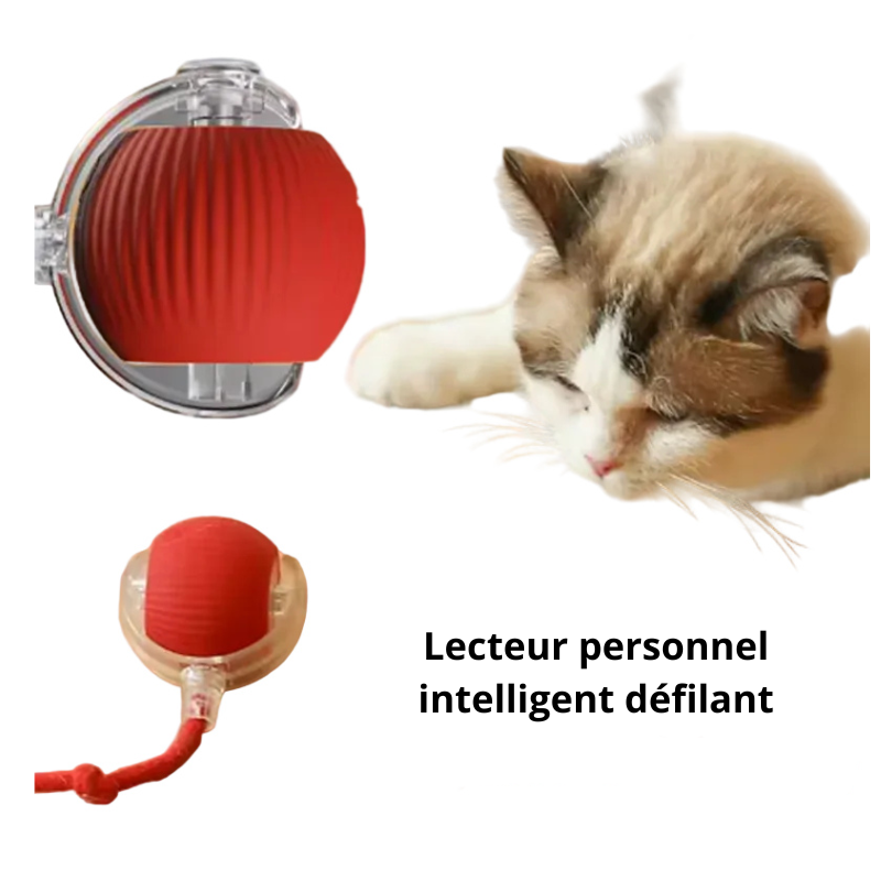 Balle Interactive Intelligente pour Chat et Chien – Évitement d'Obstacles, Rechargeable