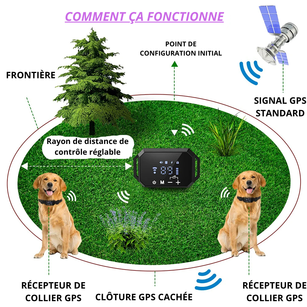 Clôture GPS Sans Fil pour Chien – Zone de Sécurité Invisible, Collier Rechargeable 30-1000m
