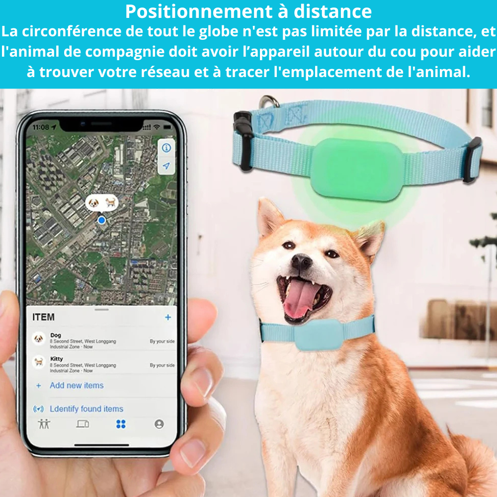 Tracker GPS Chien et Chat – Collier Anti-Fugue Ajustable, Suivi Temps Réel, Autonomie 12 mois