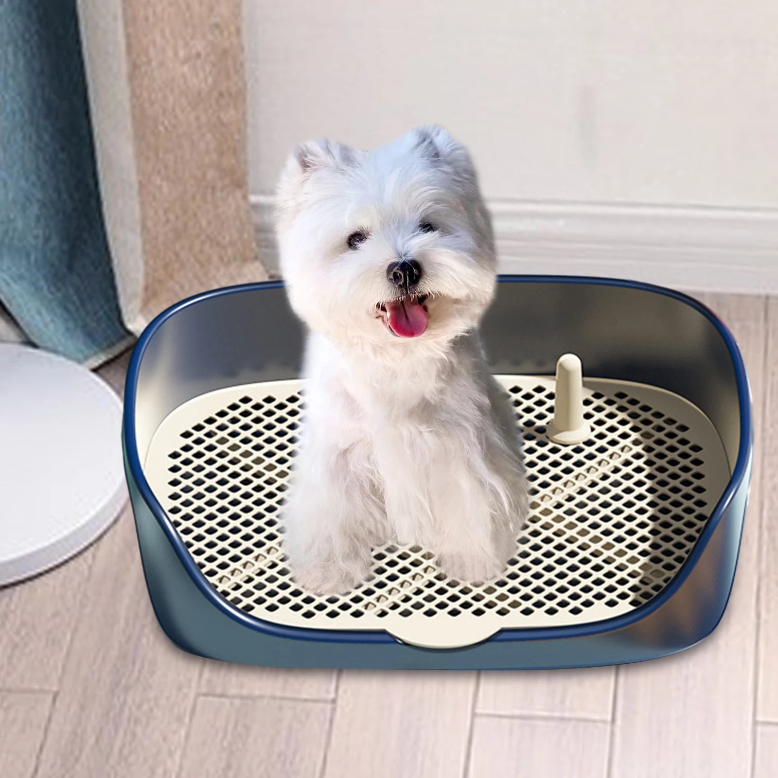 Bac de Toilette pour Chien avec Grille Amovible - Plateau d'Entraînement Antidérapant
