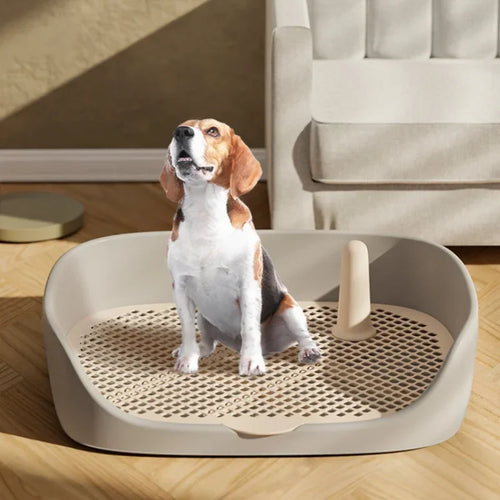 Litière Intérieur pour Chiots et Petits Chiens-Toilette d'Apprentissage pour Chien