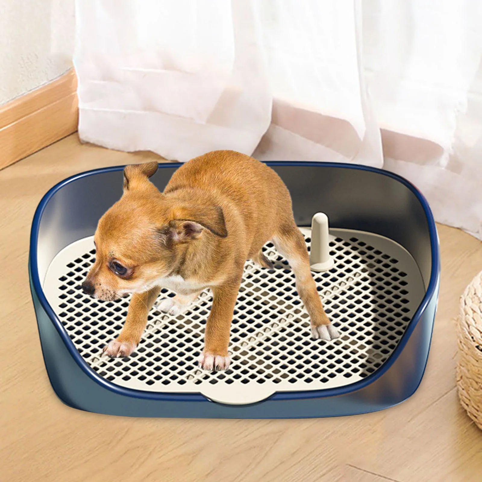 Bac toilette chien avec grille amovible antidérapante - vue dessus