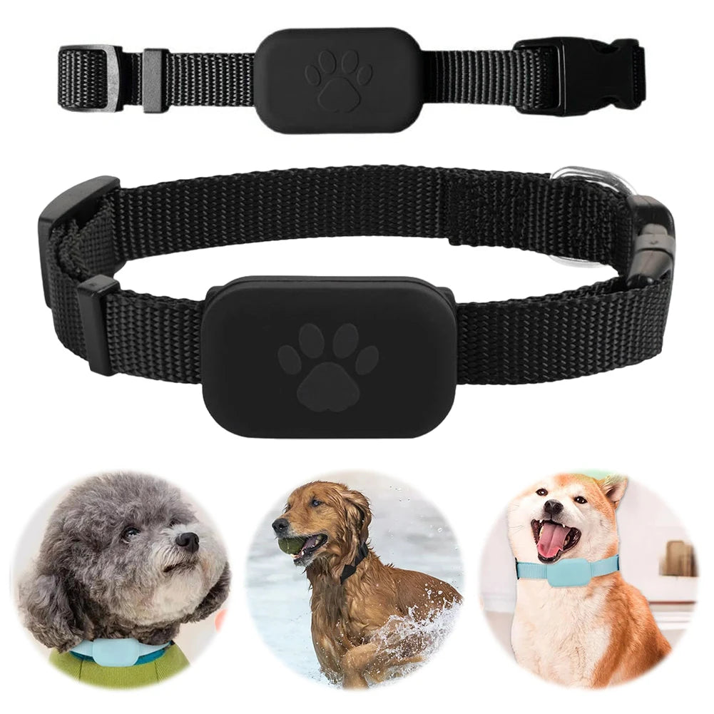 Tracker GPS Chien et Chat – Collier Anti-Fugue Ajustable, Suivi Temps Réel, Autonomie 12 mois