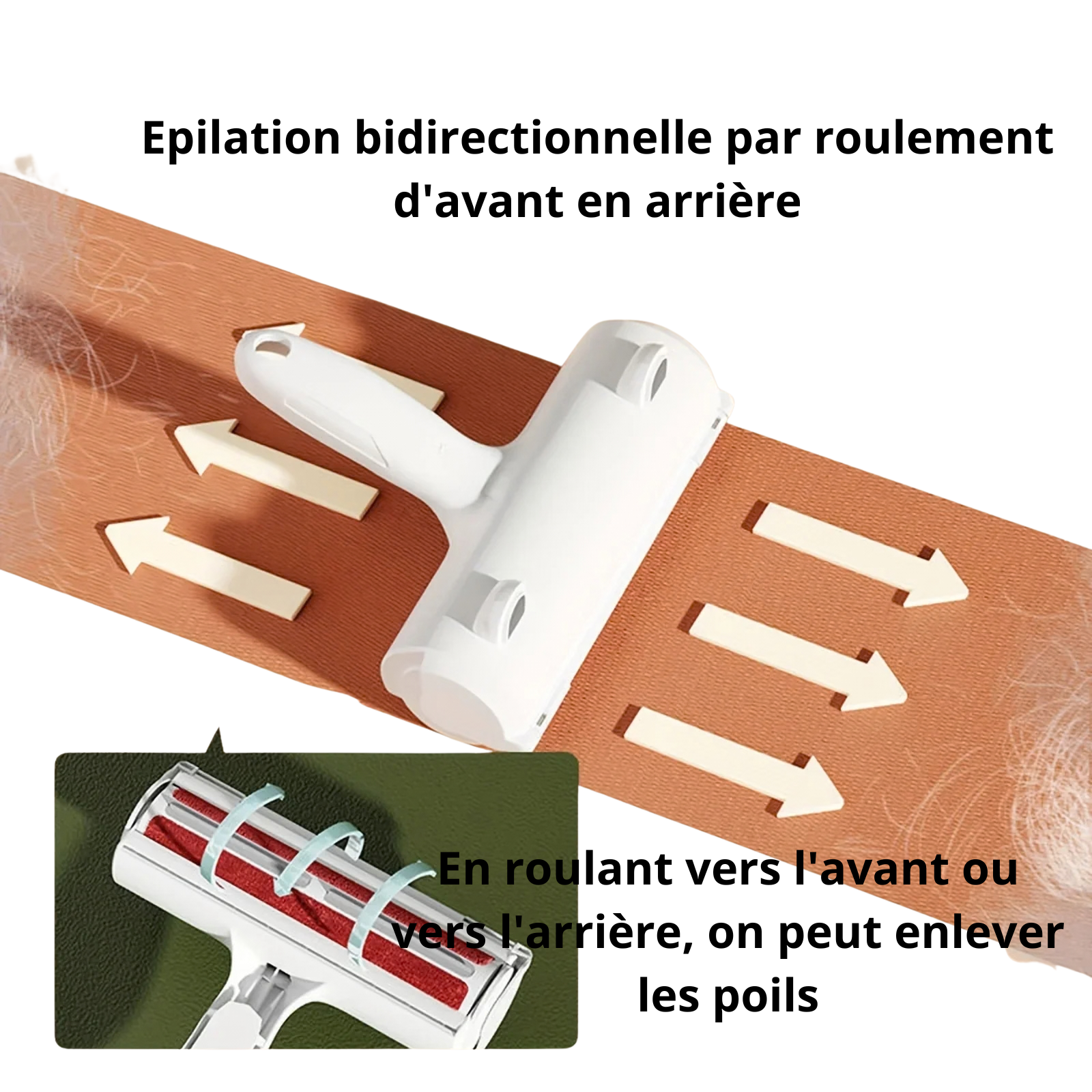 Rouleau Anti-Poils Réutilisable