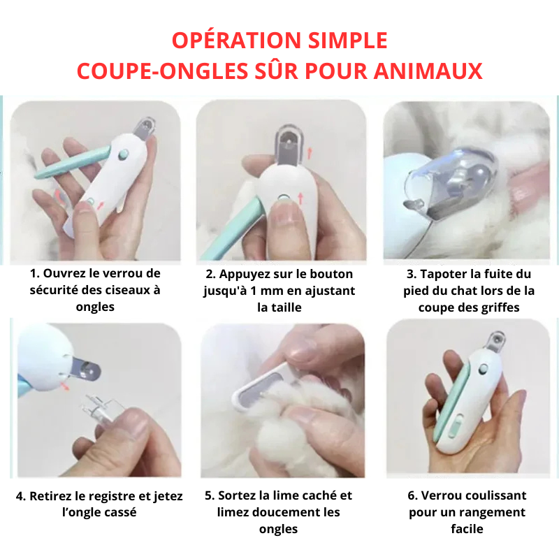 Coupe-Ongles pour Chien et Chat - Anti-Projections avec Lime Intégrée